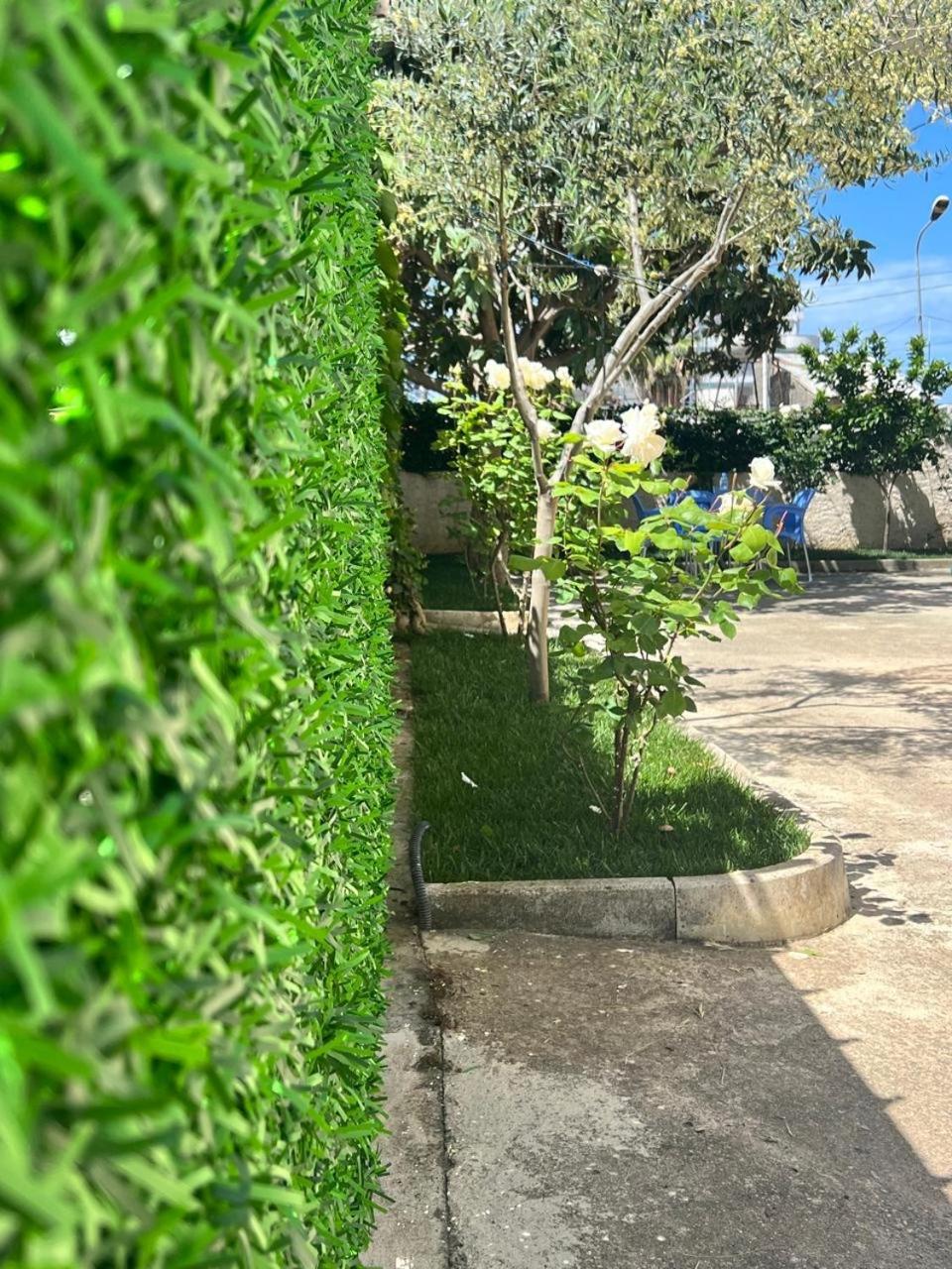 Bp Beach Apartments غوليم المظهر الخارجي الصورة